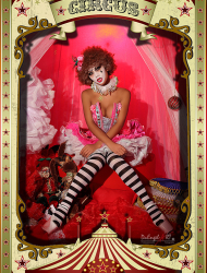 Circus-16.jpg