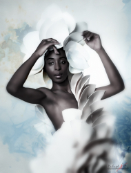 fashion-05.jpg